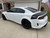 profile of white Daytona Style Dodge Charger Rear Stripes TAIL BAND 2015-2024