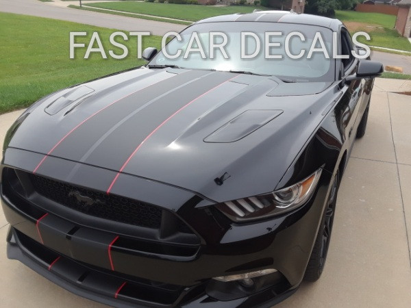 front angle of Mustang Vinyl Graphics STALLION SLIM 2015 2016 2017