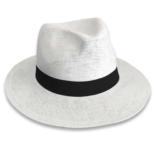 Panama Hat with band