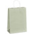 Altitude Vogue Midi Paper Gift Bag - Light Green, Azulwear Promotional Gifts