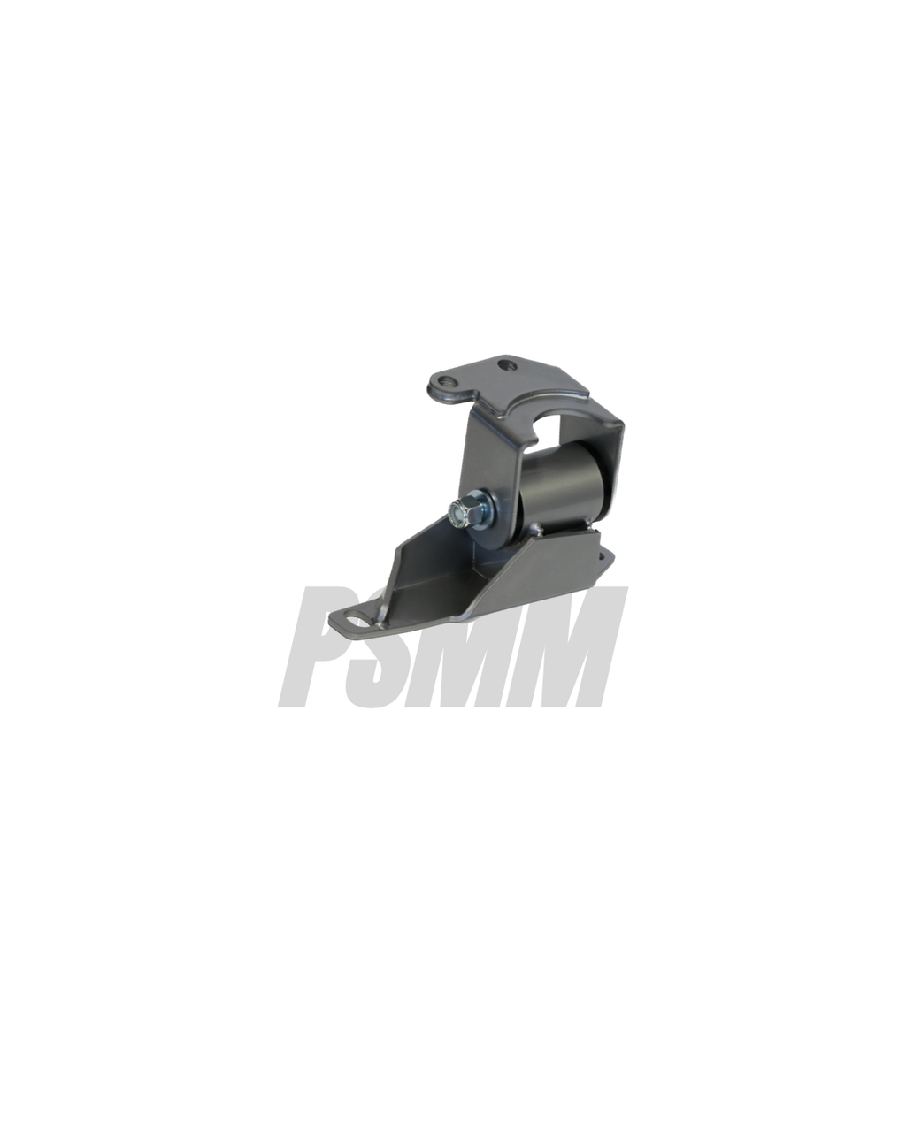 Ford Focus SE Passenger Side Mount