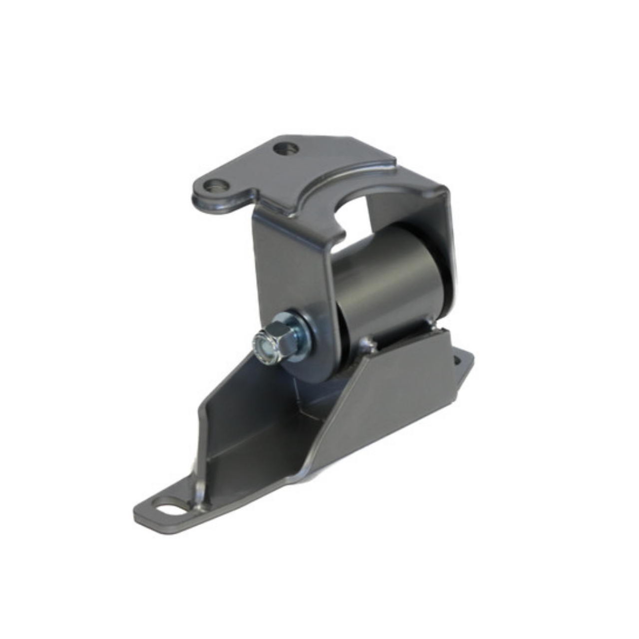 Ford Focus SE Passenger Side Mount Install Guide