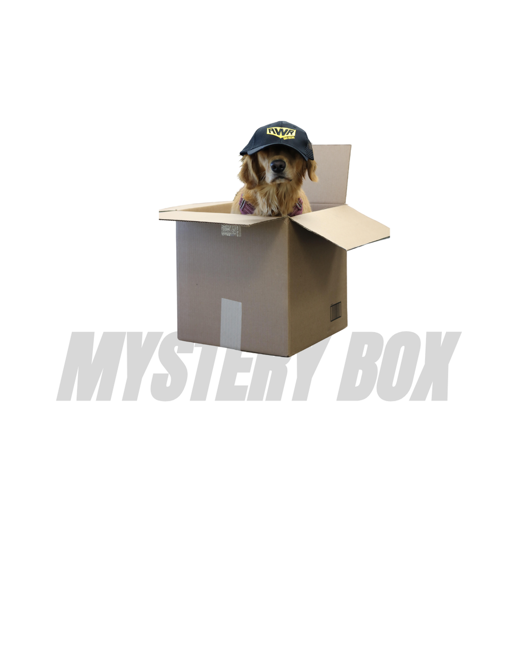 AWR Racing Mystery Boxes
