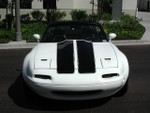 With Stock Bumpers