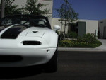 With Stock Bumpers
