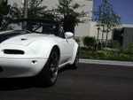 With Stock Bumpers