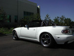 With Stock Bumpers