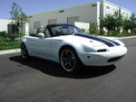 With Stock Bumpers
