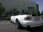 With Stock Bumpers