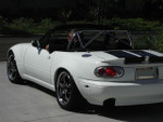 With Stock Bumpers