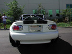 With Stock Bumpers
