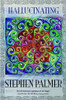 Hallucinating, by Stephen Palmer (Paperback)