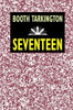 Seventeen, by Booth Tarkington (Paperback)