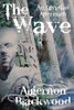 The Wave: An Egyptian Aftermath, by Algernon Blackwood (Paperback)