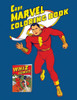 The Captain Marvel Coloring Book