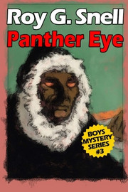 Panther Eye (Boys Mystery Series, Book 3), by Roy J. Snell (Paperback)