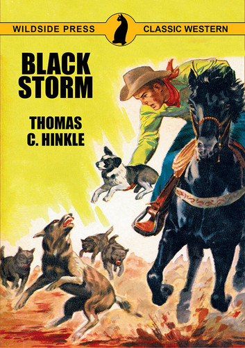 Black Storm, by Thomas C. Hinkle (Paperback)