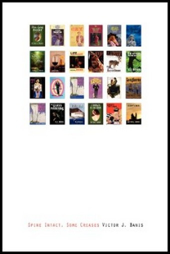 Spine Intact, Some Creases, by Victor J. Banis (Paperback)