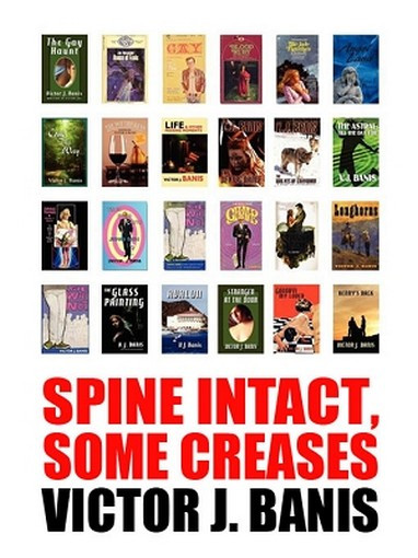 Spine Intact, Some Creases, by V. J. Banis (ePub/Kindle)