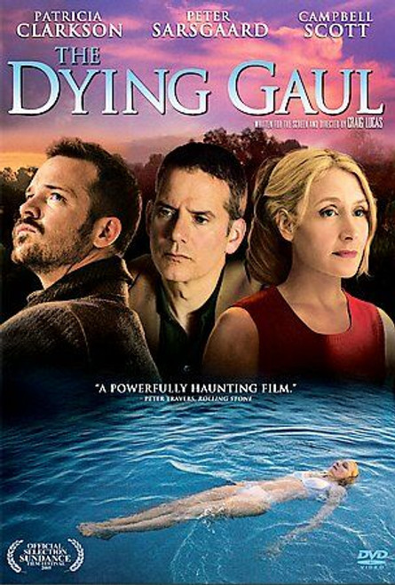 The Dying Gaul (DVD) ++ MINT CONDITION disc! + FAST Shipping!