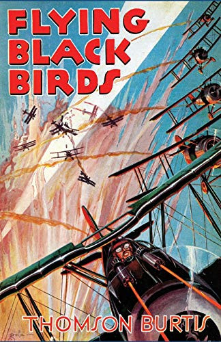 Flying Black Birds, by Thomas Burtis (Paperback)