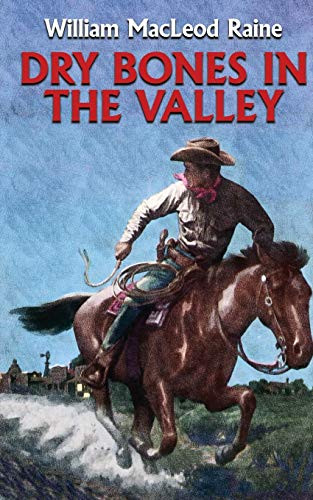 Dry Bones in the Valley, by William MacLeod Raine (Paperback)