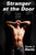 Stranger at the Door, by V.J. Banis (Paperback)