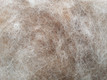 choose your filling: Eco Wool or EcoWool-alpaca blend