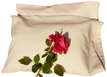 Healthy and Eco-Friendly pillow