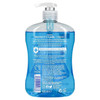 Astonish Anti-Bacterial Liquid Clean & Protect Handwash - 500ml+30% extra free