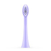 Ordo Sonic+ Electric Toothbrush - Purple Violet