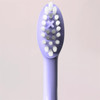 Ordo Sonic+ Electric Toothbrush - Purple Violet