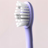 Ordo Sonic+ Electric Toothbrush - Purple Violet