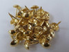 Challenge Brass Plated Upholstery Nails 10mm Head Clam Pack 75pk