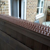 Amtech Security Spike Set 10pk