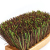 Buffalo Stiff Bassine Mix Churn Hand Brush For Heavy-Duty Scrubbing Tasks