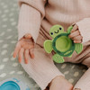 Nuby Soft Sensory Pop It Teethers Toy Pack of 2 Suitable From Birth+ Kids