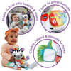 Vtech On-the-Go Soft Zebra