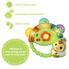 Vtech Shaking Sounds Tambourine