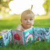 Taf Toys Koala Clip On Pram Book