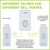 Lloytron B7531WH Melody MIP3 Plugin Door Chime Kit - White
