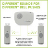 Lloytron B7030WH Dingdong MIP3 Battery Operated Portable Door Chime Kit - White