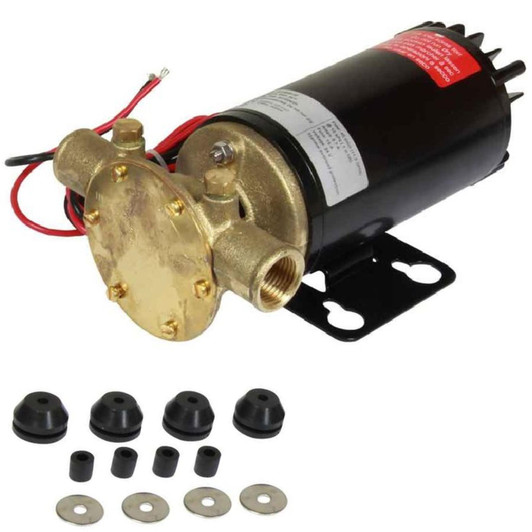 Johnson F4B-19 24V Impeller Pump