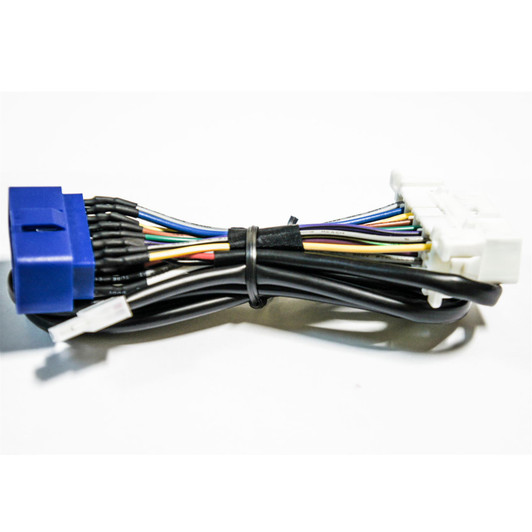 LP 2005219 Dynamic Speed Limiter