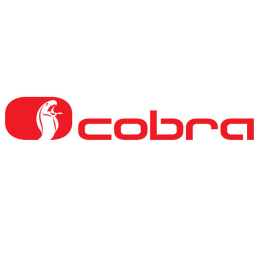 Cobra A4685P CANBUS Alarm system