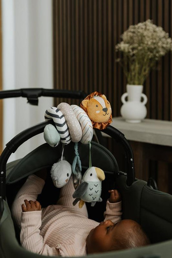 Nuby Animal Adventure Spiral