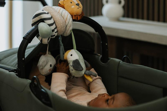 Nuby Animal Adventure Spiral