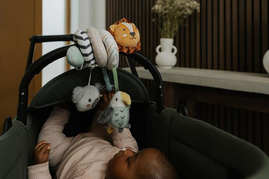 Nuby Animal Adventure Spiral