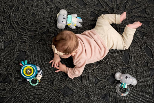 Taf Toys Kimmy Koala Rattle
