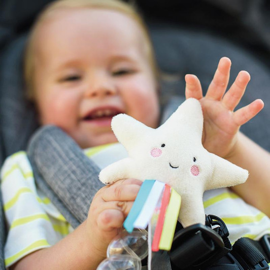 Taf Toys Star Rainstick Rattle